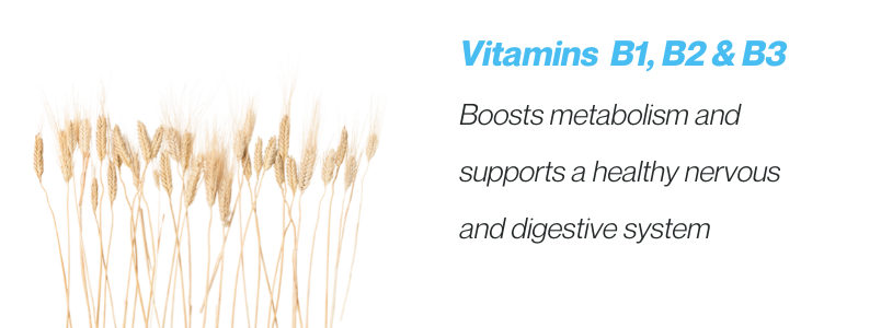Four mushrooms with text about Vitamin B12 benefits.