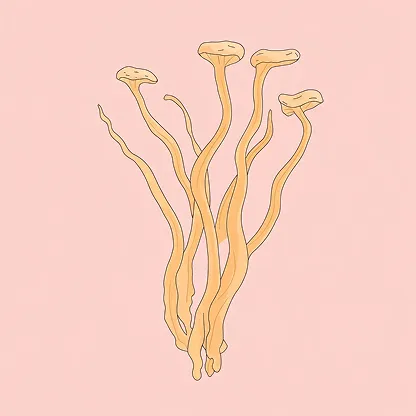 An illustration of a cluster of long, thin, tan mushrooms on a light pink background.