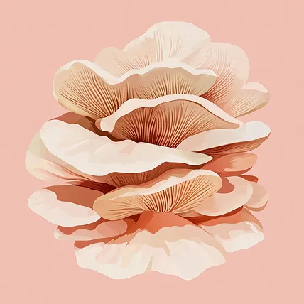 A stylized illustration of a cluster of light-colored mushrooms against a solid pink background.