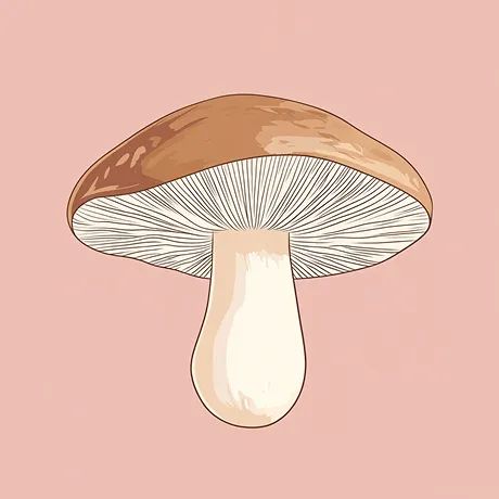 An illustration of a mushroom with a brown cap and white gills against a pink background.