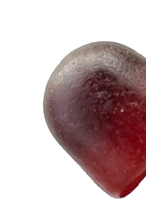 A single, reddish-purple, dome-shaped gummy candy on a white background.