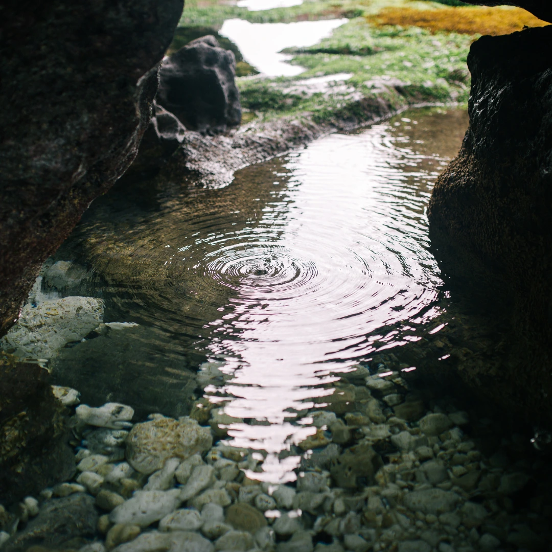 Concentric ripples expanding in a shallow, clear stream flowing between dark rocks, with pebbles visible at the bottom.