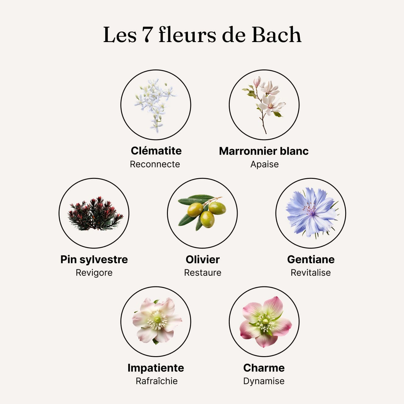 Perte de poids durable – Élixirs de Fleurs de Bach