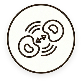 A circular icon with a brown line drawing of two cell-like shapes interacting.