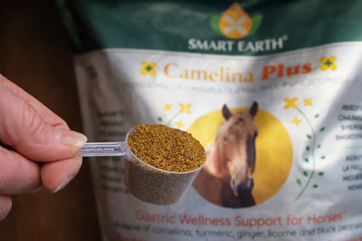 A hand holding a plastic scoop of granular Camelina Plus horse supplement in front of the product bag.