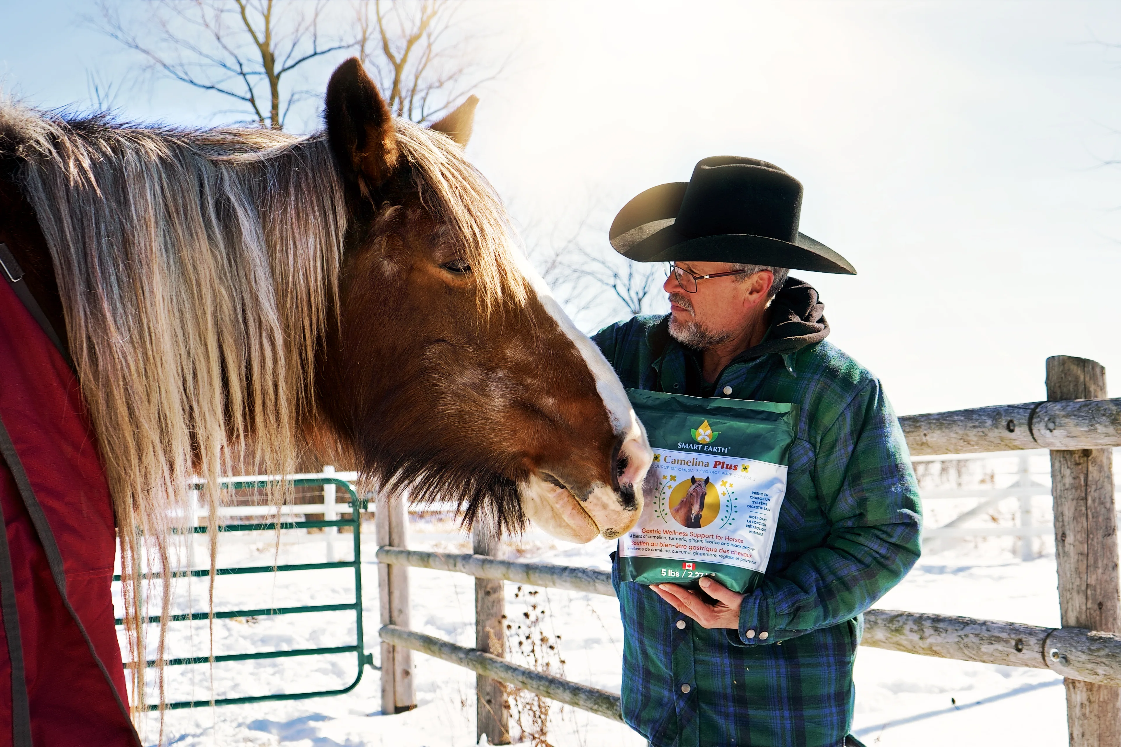 A man in a cowboy hat offers a bag of feed to a horse in a snowy enclosure.