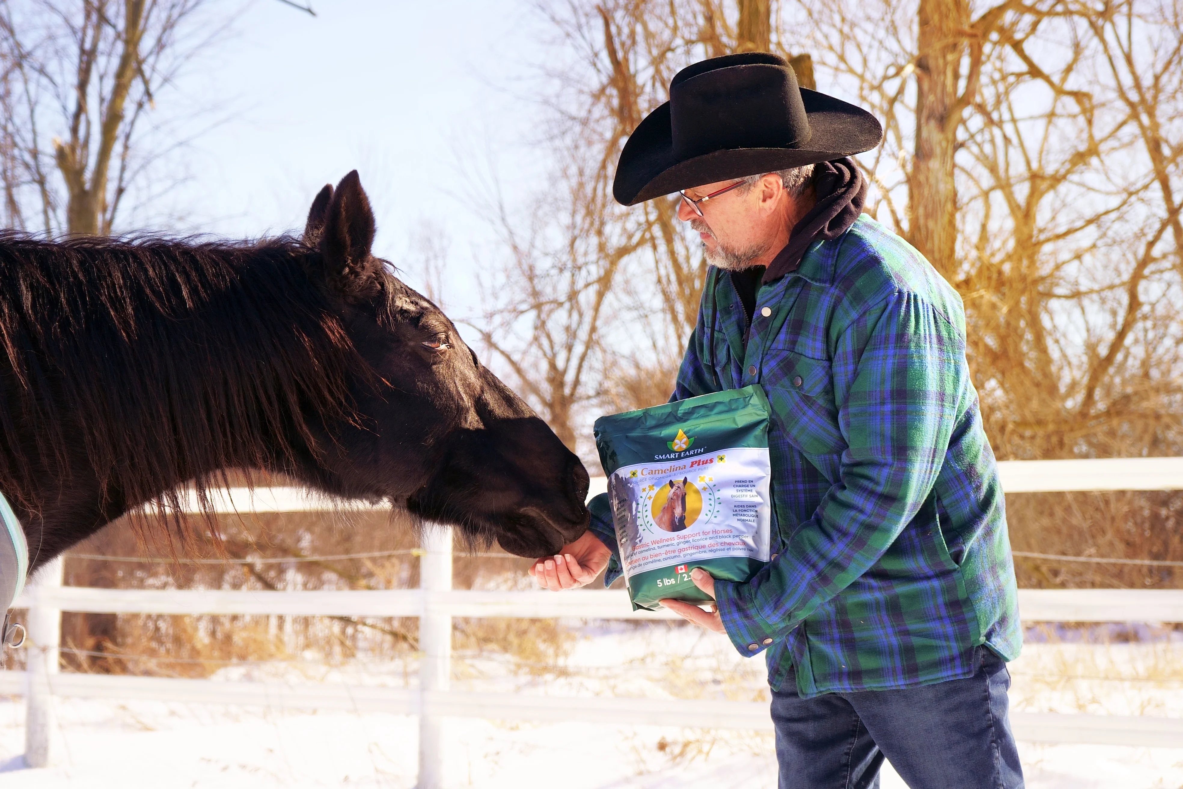 A man in a cowboy hat hand-feeds a dark horse a supplement from a bag in a snowy field.