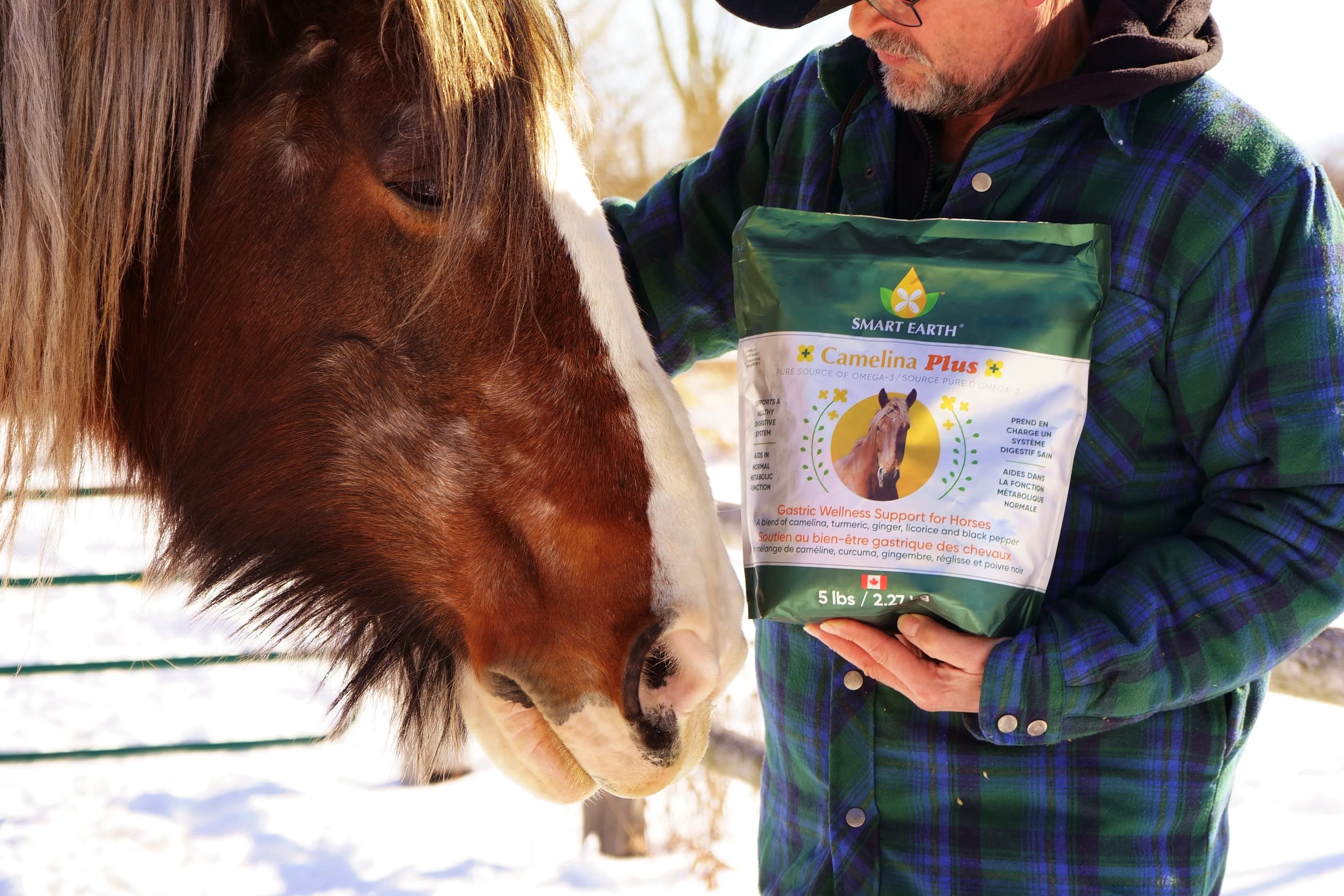 A man in a plaid jacket holds a bag of horse supplement next to a brown and white horse.