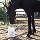 A close-up of a dark horse with its head lowered to a white feed bag on the ground.