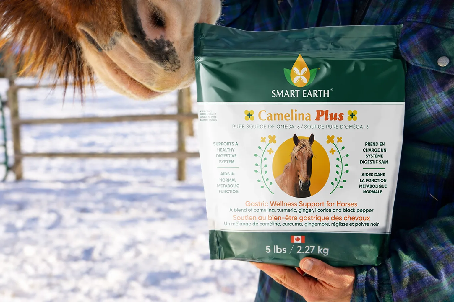 A horse sniffs a bag of Smart Earth Camelina Plus supplement held by a person in a snowy field.