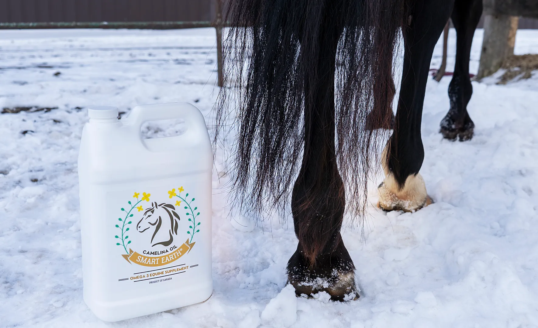 A jug of Smart Earth Camelina Oil sits in the snow next to a horse's legs and tail.
