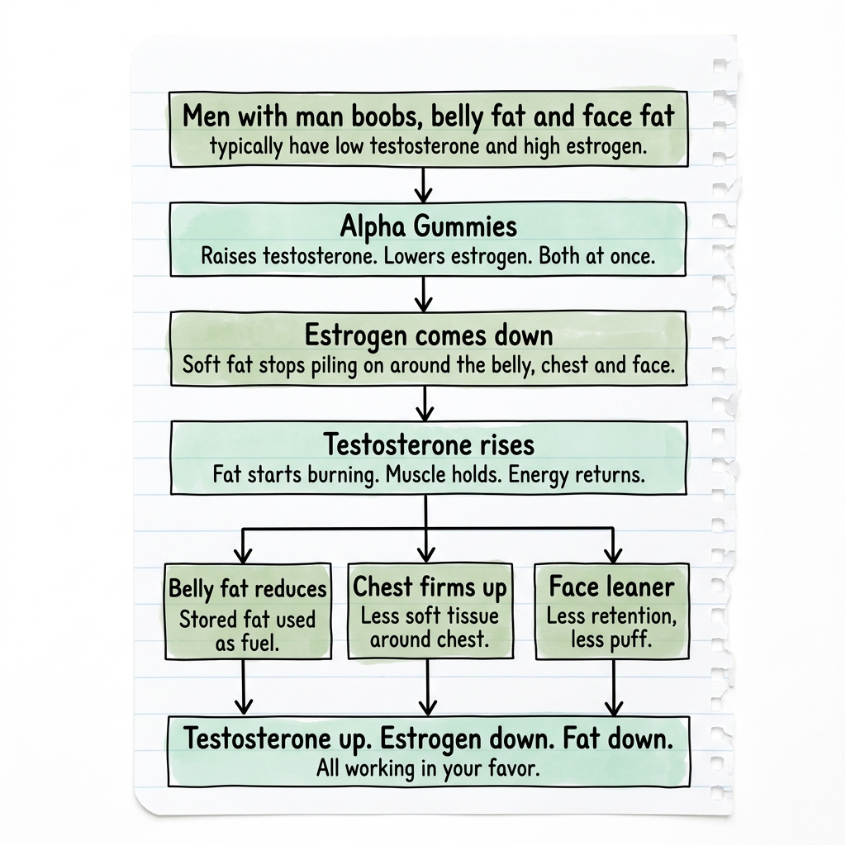 Testosterone up = Faster Metabolism, Estrogen down = Less Soft Fat