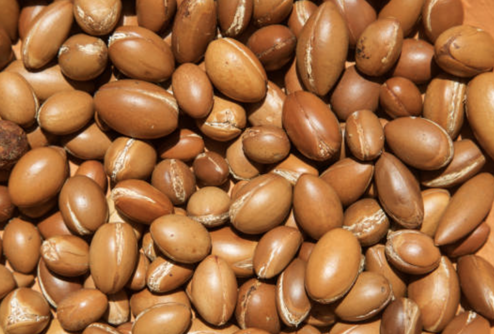 Close-up of brown oval seeds with visible cracks.