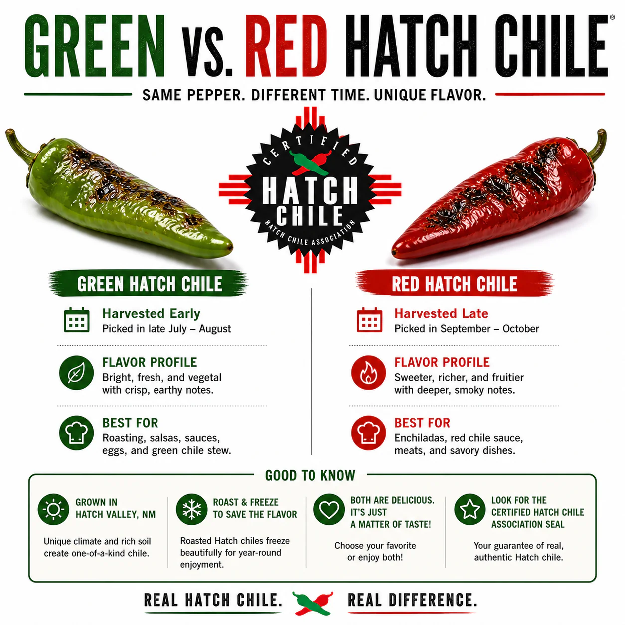An infographic comparing green and red Hatch chiles, highlighting differences in flavor, harvest time, and common uses.