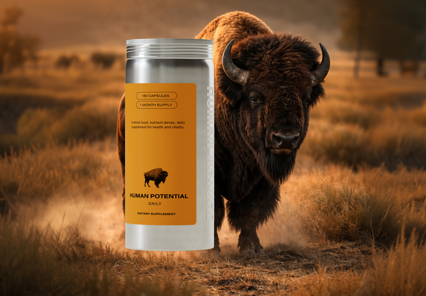 A bottle of Human Potential dietary supplement is placed in a field in front of a large bison.