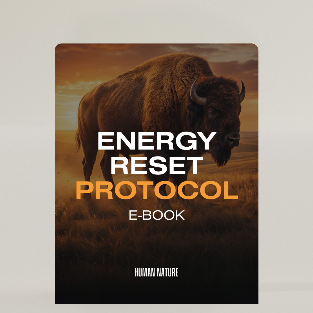 The cover of the 'Energy Reset Protocol' e-book, showing a large bison in a field.