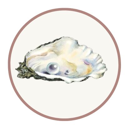 Illustration of an open oyster with two visible pearls inside.