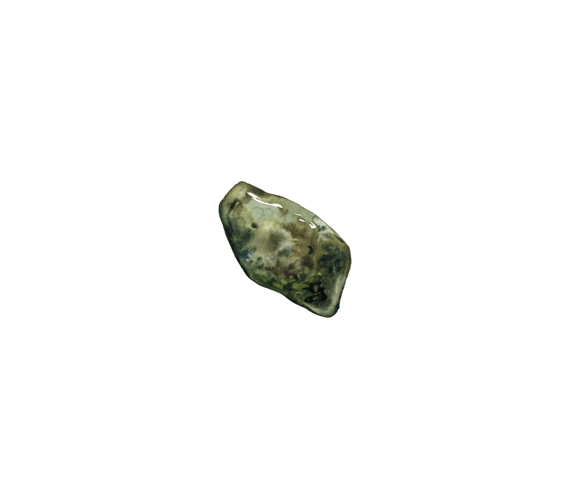 A single, shiny, dark green and brown stone against a black background.
