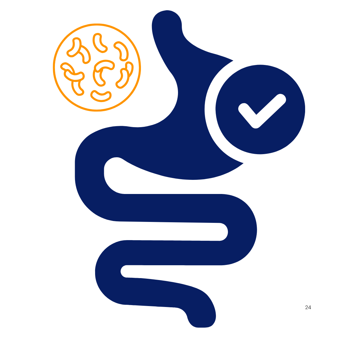 Abstract blue intestine with orange bacteria and checkmark.
