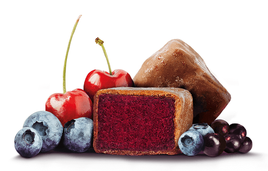 Assorted berries and a chocolate-covered fruit bar on a white background.