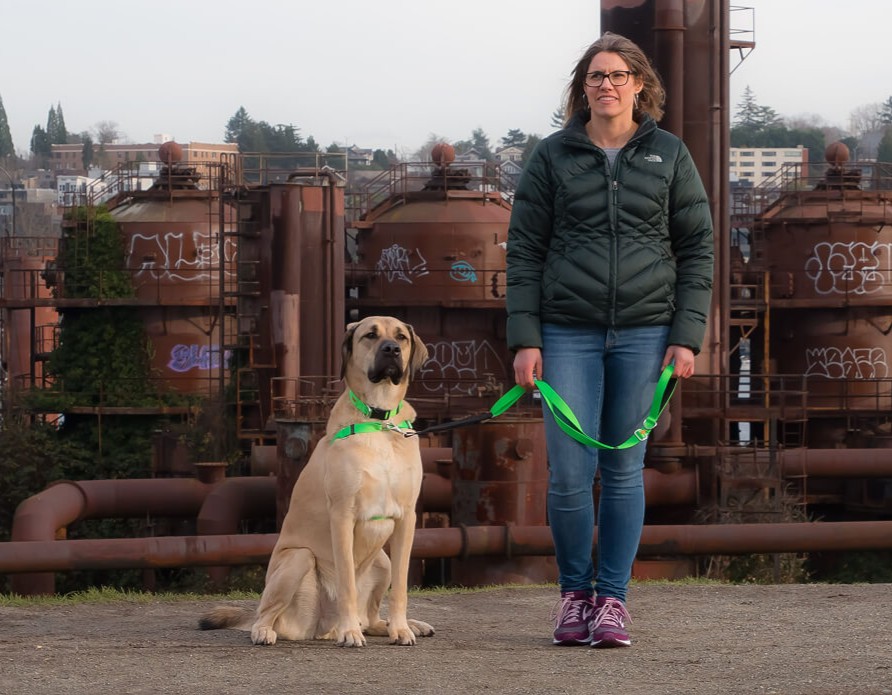 Person with a large dog on a leash in front of industrial structures.
