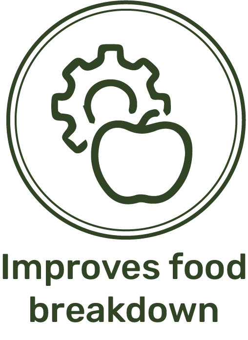 Icon of a gear and apple with text 'Improves food breakdown'.