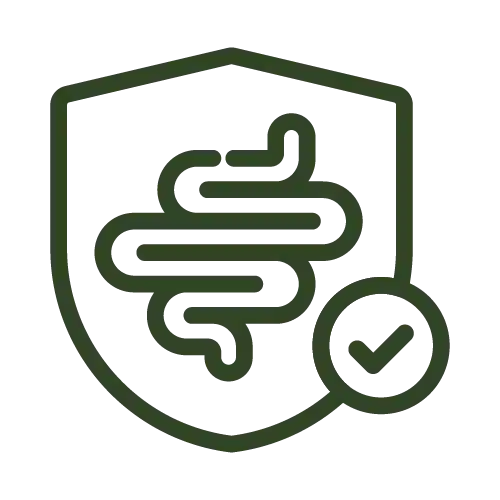 Outline of intestines inside a shield with a checkmark.