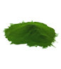 A pile of green powder against a white background.
