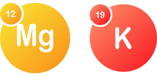 Colorful chemical symbols for magnesium (Mg) and potassium (K).