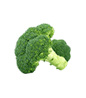 A single piece of fresh broccoli on a white background.