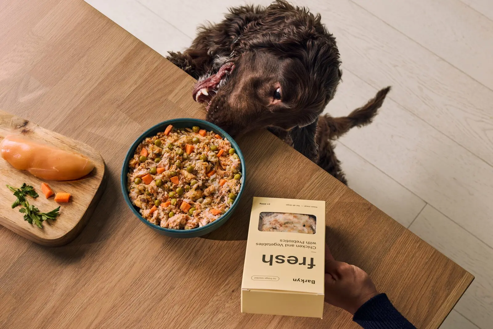 A fluffy brown dog looks up at a wooden table with a bowl of fresh dog food.