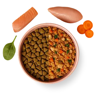 A bowl of dry and wet dog food surrounded by salmon, chicken, carrots, and spinach.