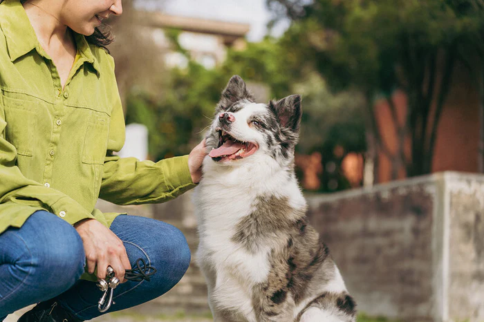 A person in a green shirt crouches and pets a fluffy, speckled dog.