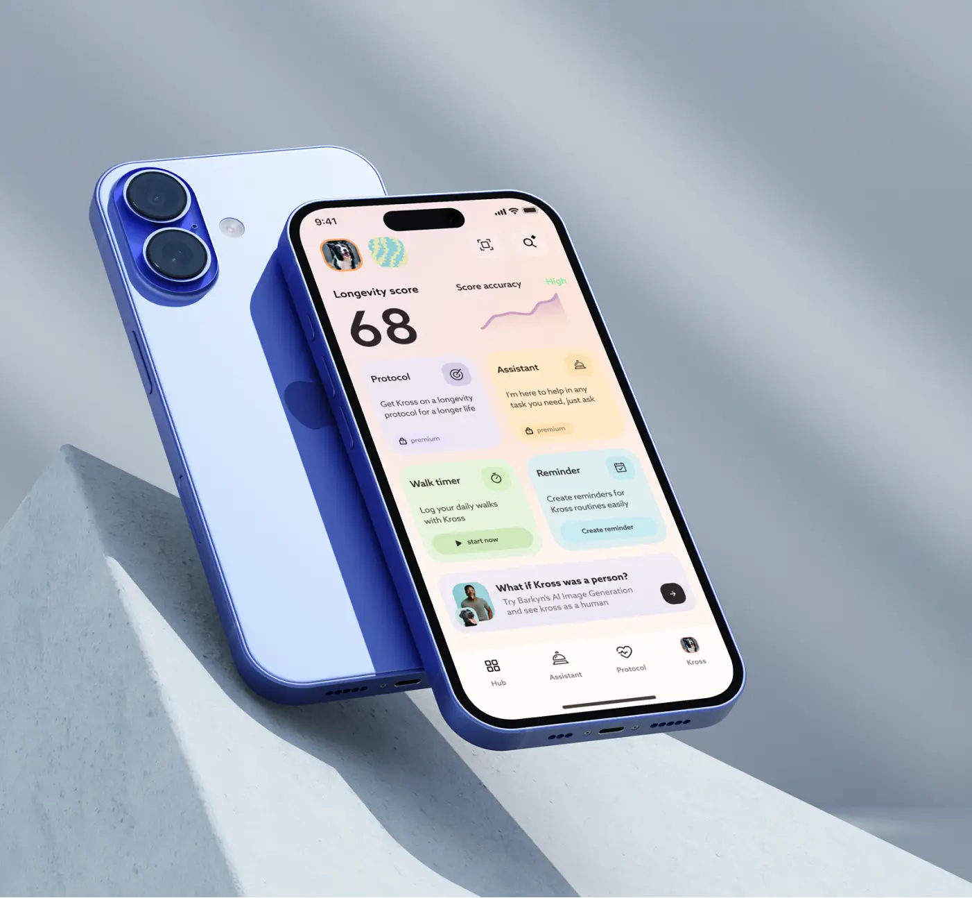 A blue smartphone displaying a longevity app interface, leaning against another smartphone on a gray background.