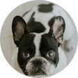 Pixel