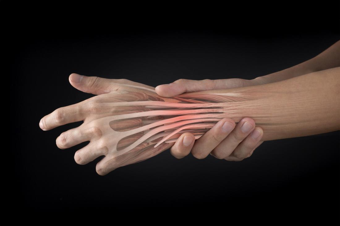 A knee joint model with ligaments and a close-up view of a hand touching the model.