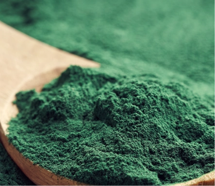 Spirulina + Chlorella
