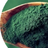 Spirulina & Chlorella