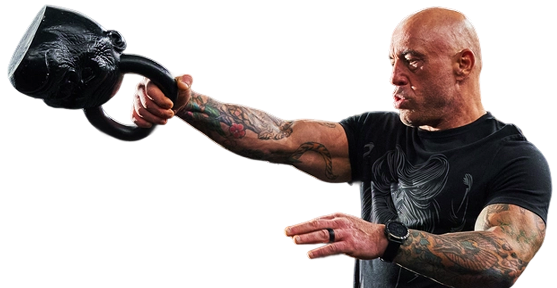 A muscular, bald man with tattoos exercising with a gorilla-shaped kettlebell against a white background.