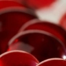 Krill Oil (standalone)