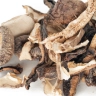 Immune mushroom blend