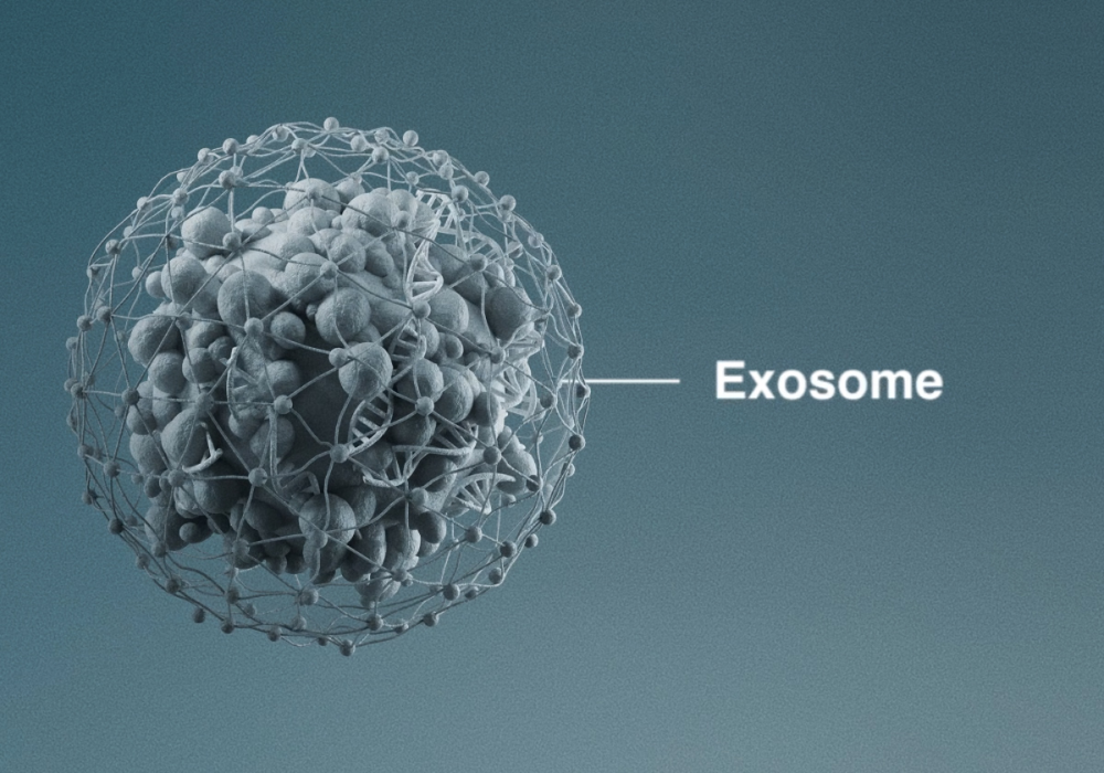 Illustration of an exosome with a labeled structure on a blue background.