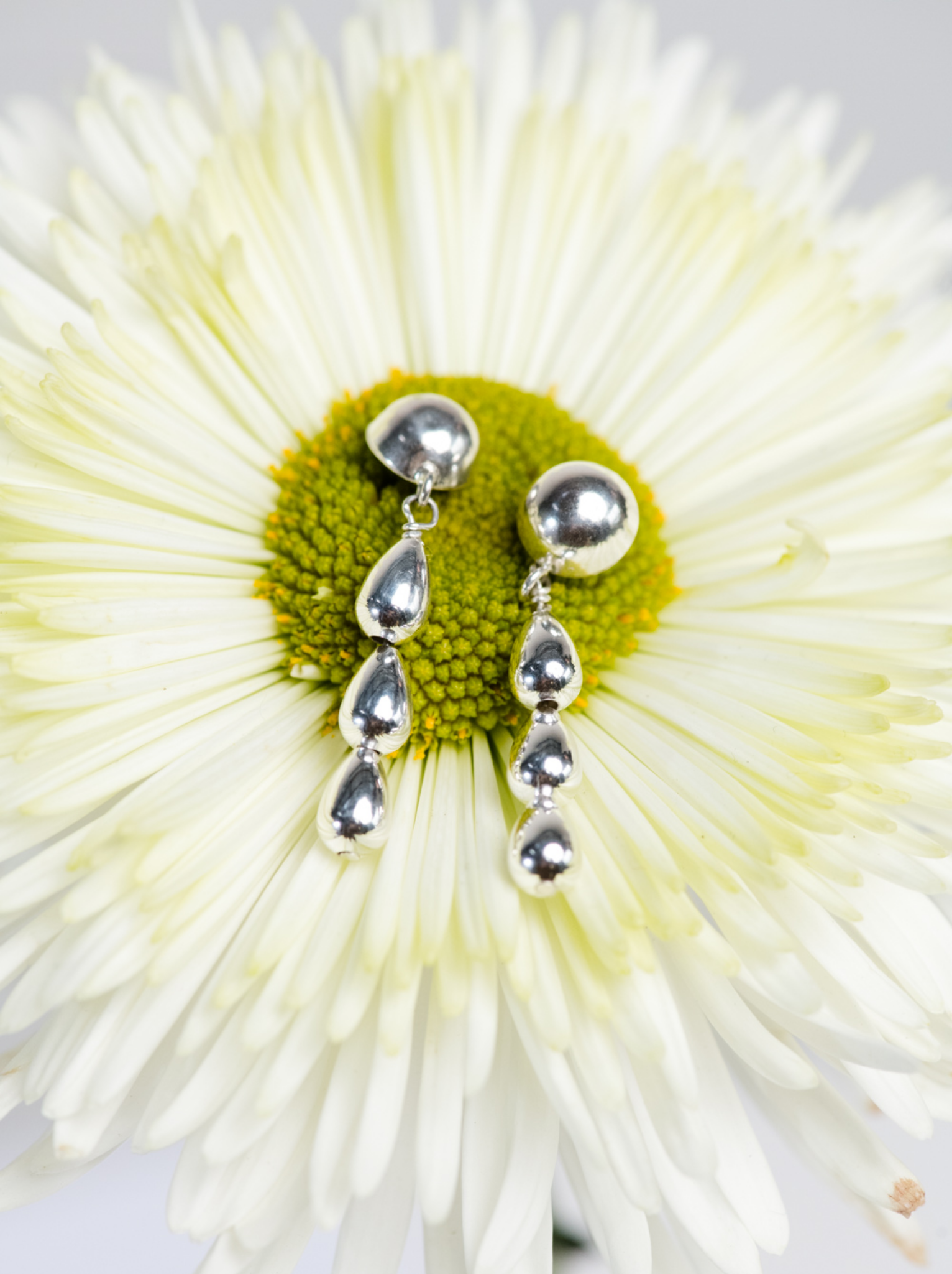 Silver drop earrings on a white daisy flower.
