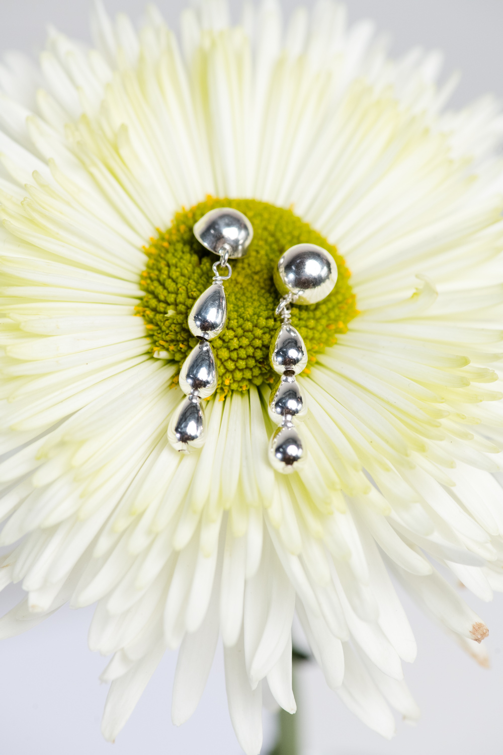 Silver earrings displayed on a white daisy flower.