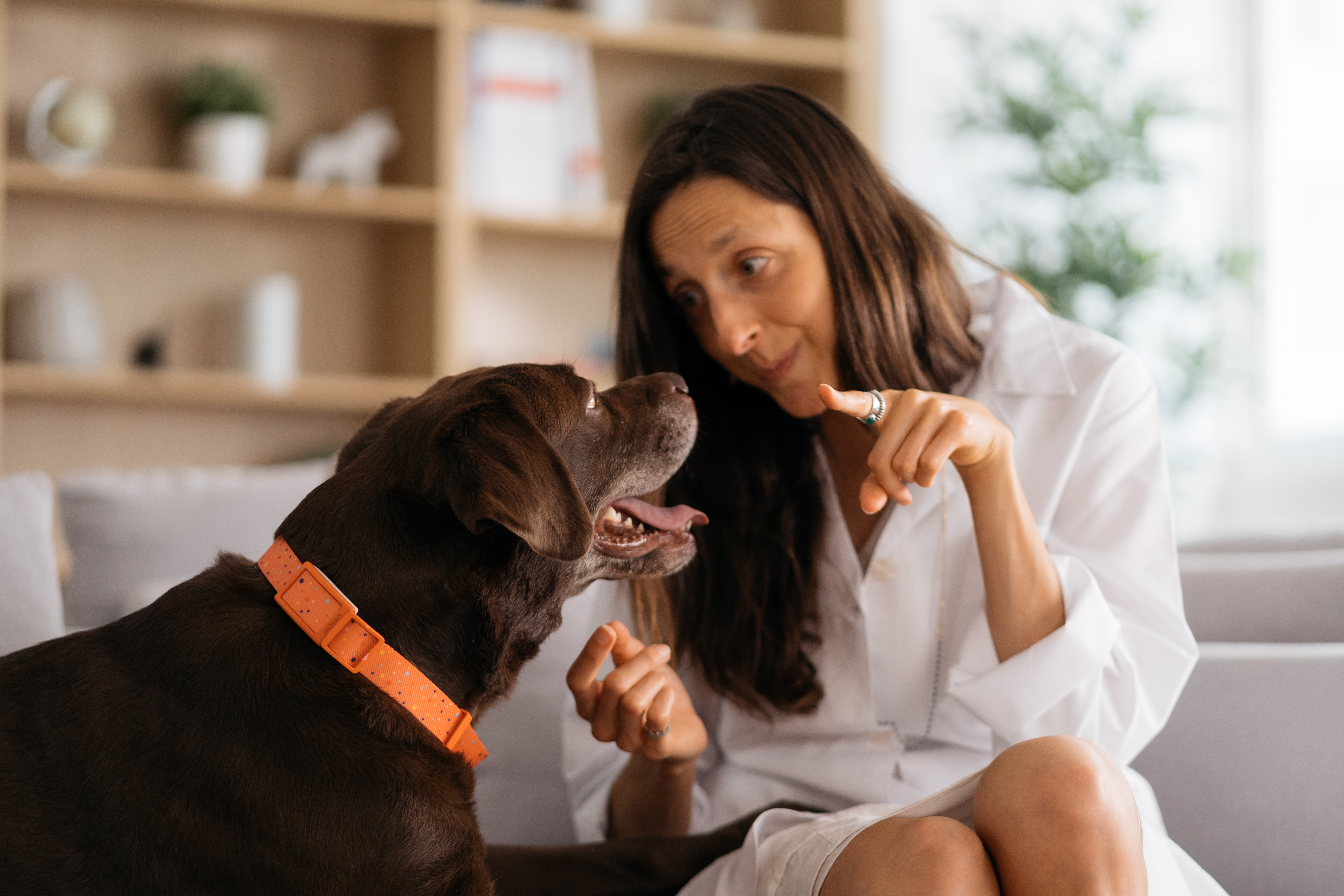 A woman in a white shirt points her finger at a brown dog with an orange collar.