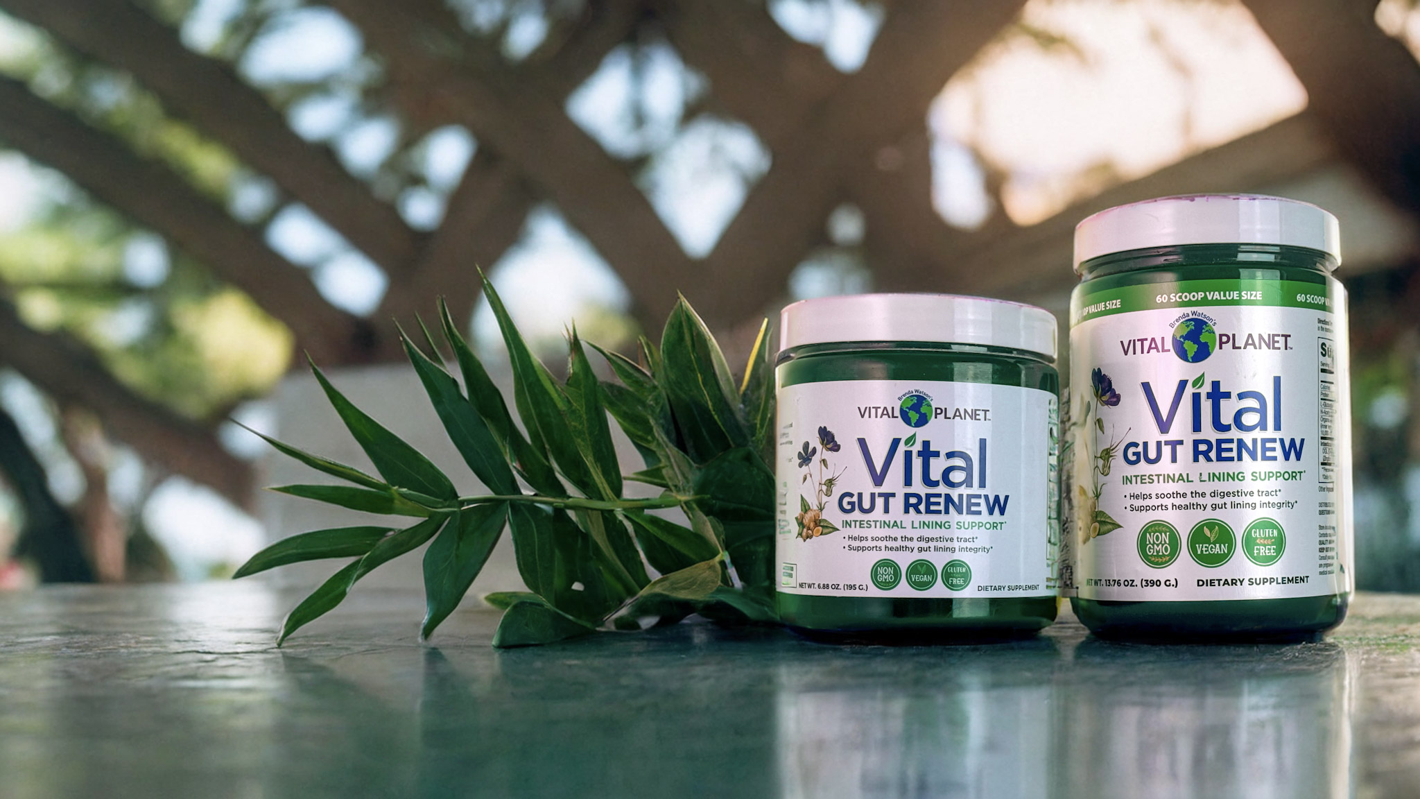 Vital Gut Renew