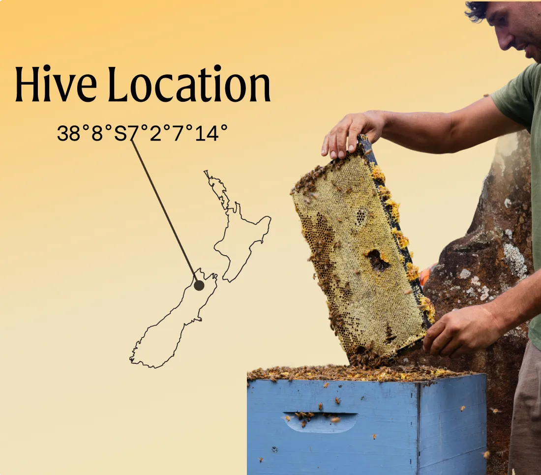 A beekeeper holds a honeycomb frame over a blue hive, with a map showing its New Zealand location.