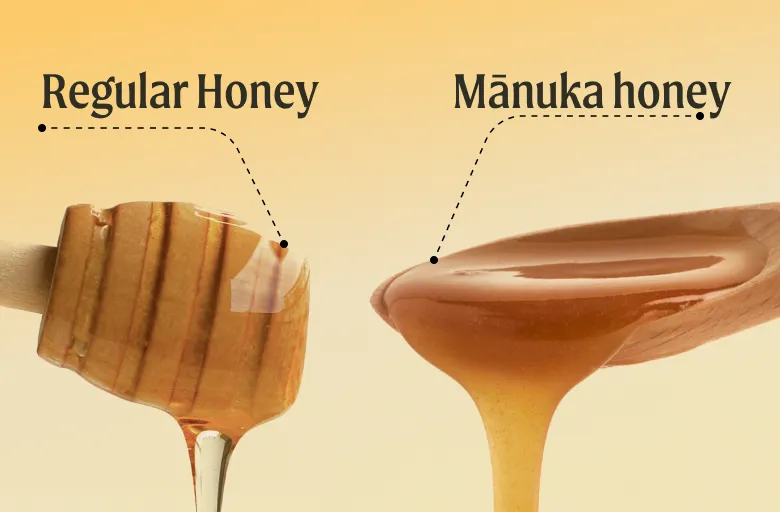 A side-by-side comparison of regular honey on a dipper and Mānuka honey on a wooden spoon.