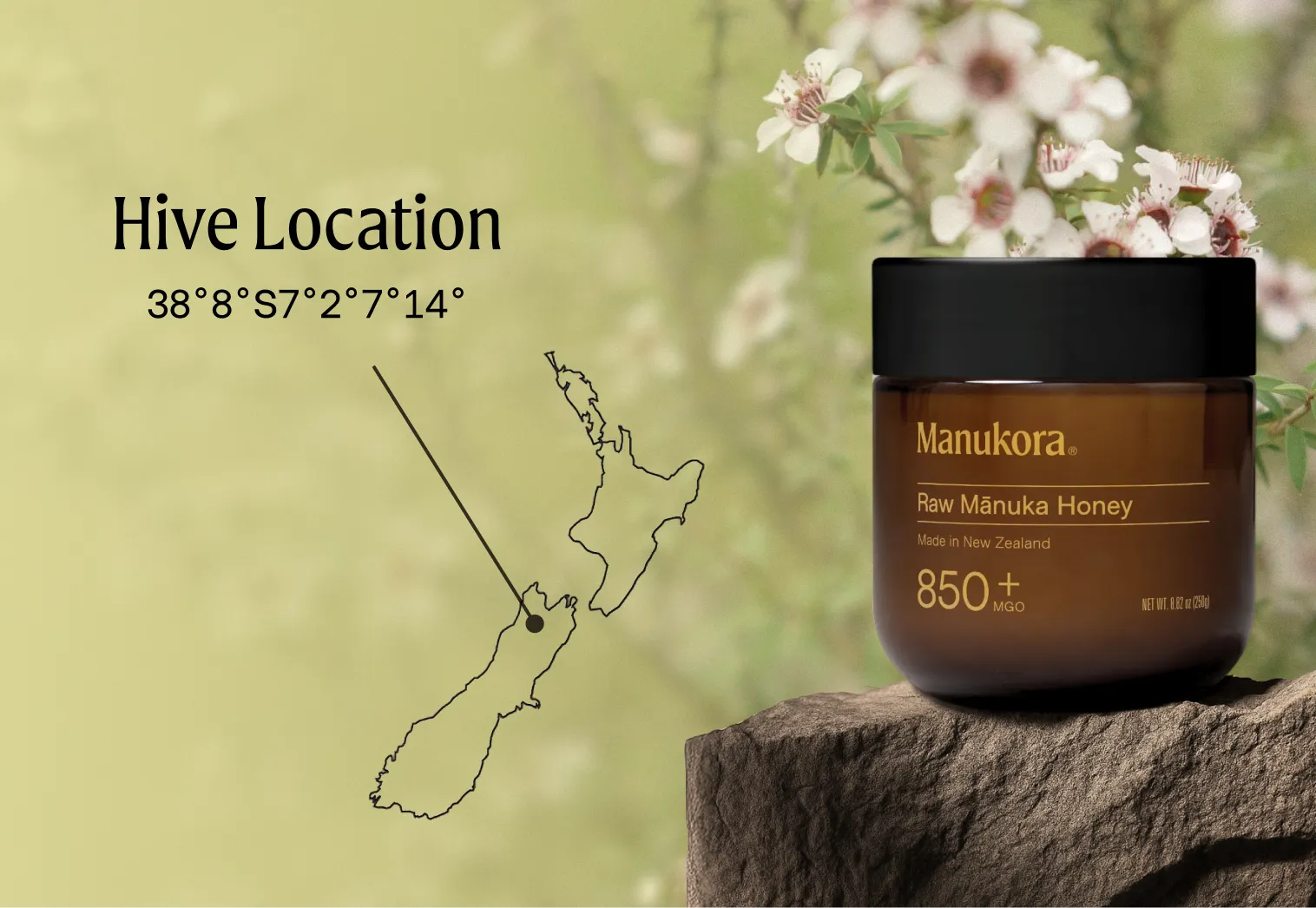 A jar of Manukora Raw Mānuka Honey on a rock, with a map showing its New Zealand origin.