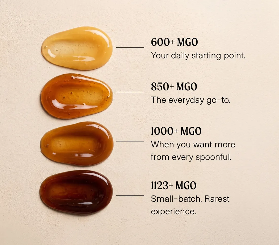 Four dollops of honey in a gradient from light to dark, with corresponding MGO ratings and descriptions.